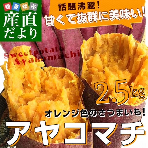 千葉県産　JAかとり　アヤコマチ　Mサイズ2.5キロ　10本前後　送料無料　さつまいも　サツマイモ　薩摩芋　にんじん芋　オレンジ芋　野菜　市場発送02