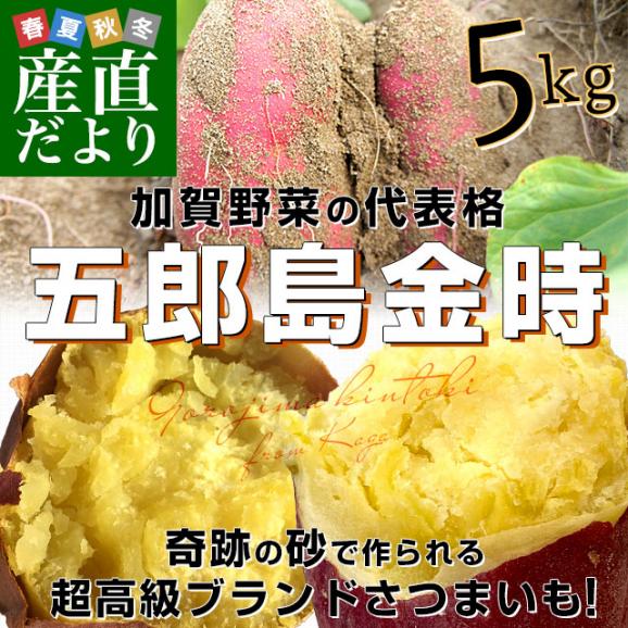 石川県産 JA金沢市 五郎島金時 秀品 Sから2Sサイズ 約5キロ 30本から40本入り 送料無料 さつまいも サツマイモ 薩摩芋 新芋 市場発送02
