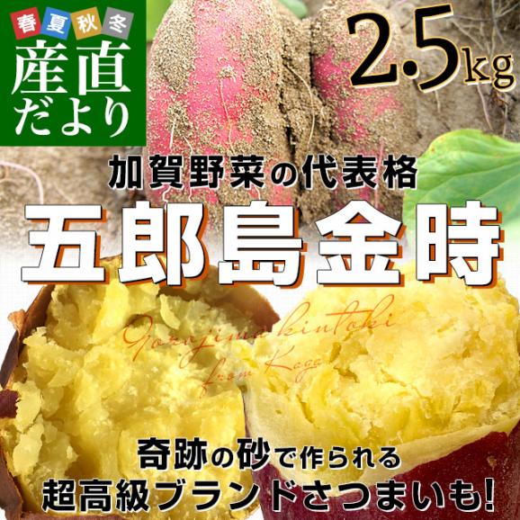 石川県産 JA金沢市 五郎島金時 秀品 Sから2Sサイズ 約2.5キロ 15本から20本入り 送料無料 さつまいも サツマイモ 薩摩芋 新芋 市場発送02