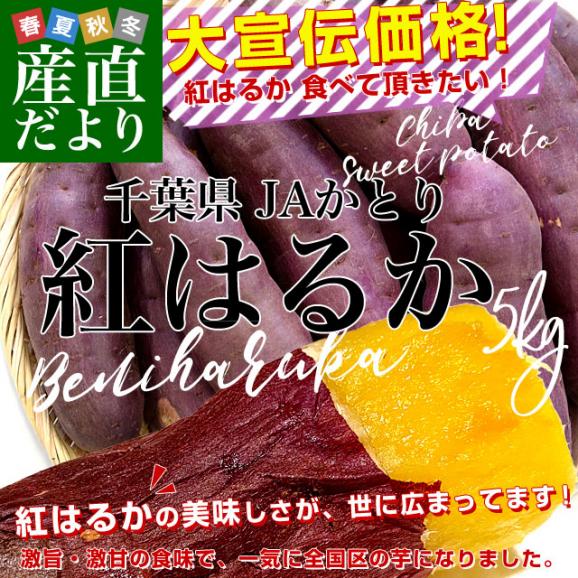 千葉県産 JAかとり 紅はるか Lサイズ 約5キロ 13本前後 送料無料 さつまいも サツマイモ 薩摩芋 新芋 市場発送02