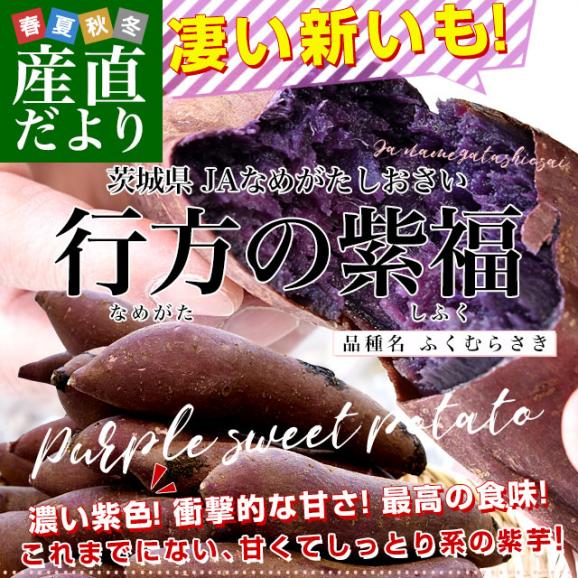 茨城県より産地直送 JAなめがたしおさい 行方の紫福（なめがたのしふく）品種名：ふくむらさき Mサイズ 約5キロ（18本前後） 送料無料 さつま芋 さつまいも サツマイモ 薩摩芋 紫芋 むらさき芋02