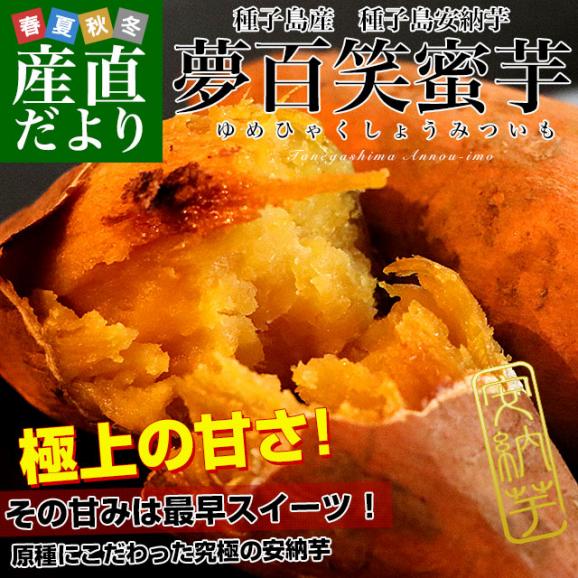 種子島産　夢百笑蜜芋　750g×2箱（18本前後）　送料無料　市場発送　あんのういも　みついも　鹿児島県  安納芋02