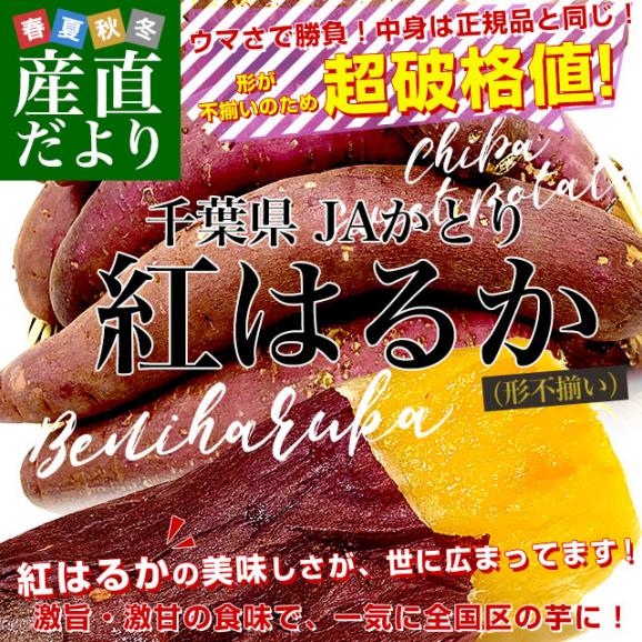 千葉県産 JAかとり 紅はるか BLサイズ 約5キロ 10本から13本前後（形不揃い） 送料無料 さつまいも サツマイモ 薩摩芋 新芋 市場発送02