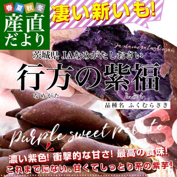 茨城県より産地直送 JAなめがたしおさい 行方の紫福（なめがたのしふく）品種名：ふくむらさき Ｓサイズ 約5キロ（30本前後） 送料無料 さつま芋 さつまいも サツマイモ 薩摩芋 紫芋 むらさき芋02