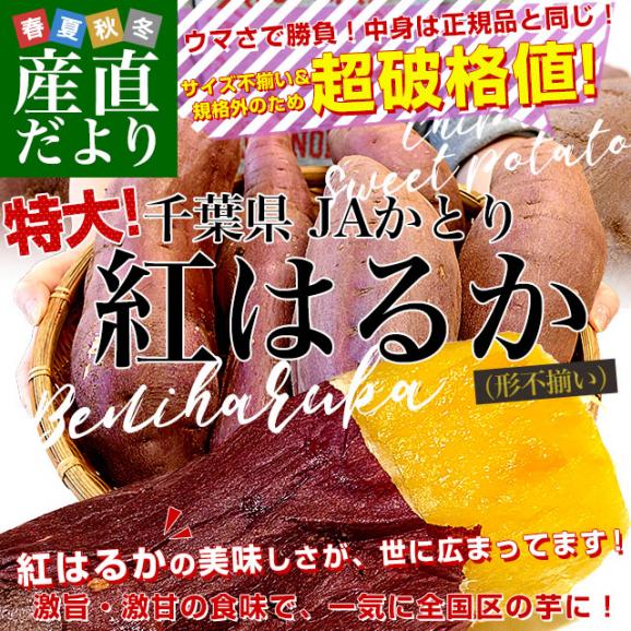 千葉県産 JAかとり 紅はるか B品 3Lサイズ 約5キロ(5～6本) 送料無料 さつまいも サツマイモ 薩摩芋 新芋 市場発送02