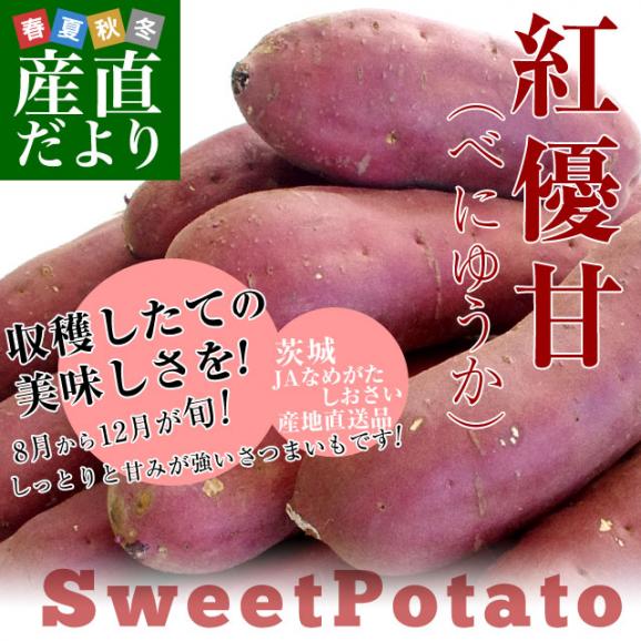 茨城県より産地直送 JAなめがたしおさい さつまいも「紅優甘 (べにゆうか)」 Mサイズ 5キロ(18本前後) 送料無料 さつま芋 サツマイモ 薩摩芋02