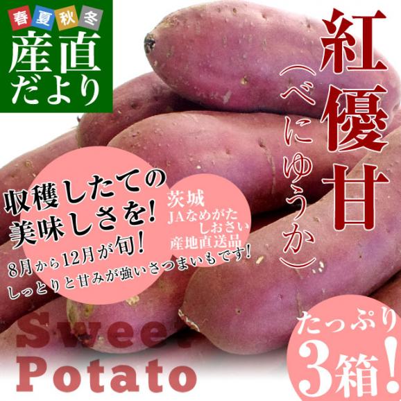 茨城県より産地直送 JAなめがたしおさい さつまいも「紅優甘 (べにゆうか)」 SからSSサイズ 1キロ×3箱セット 送料無料 さつま芋 サツマイモ 薩摩芋02
