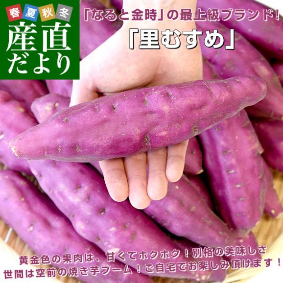徳島県産　JA里浦　なると金時「里むすめ」　Lサイズ2.5キロ　10本前後　送料無料　きんとき　さつまいも　サツマイモ　薩摩芋　新芋　高系14号　市場発送02