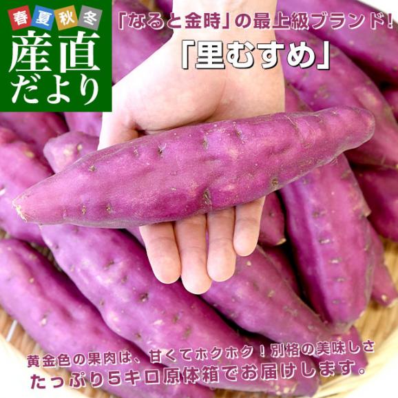 徳島県産　JA里浦　なると金時「里むすめ」　Lサイズ5キロ　20本前後　送料無料　きんとき　さつまいも　サツマイモ　薩摩芋　新芋　高系14号　市場発送02