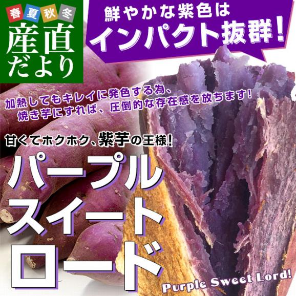 千葉県産　JAかとり　パープルスイートロード（千葉むらさき）　Mサイズ2.5キロ　10本前後　送料無料　さつまいも　サツマイモ　薩摩芋　野菜　市場発送02