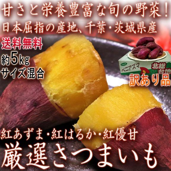 紅はるか・紅あずま・紅ゆうか 約5kg さつまいも 千葉県・茨城県産 訳あり品 濃厚な味と栄養豊富な旬の野菜！甘み溢れる薩摩芋をお届け02
