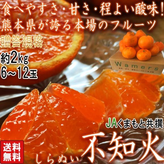 不知火 しらぬい 約2kg 6～12玉 熊本県産 贈答規格 JAくまもと 濃厚な甘さと程よい酸味の人気品種！本場で育てた抜群の味02