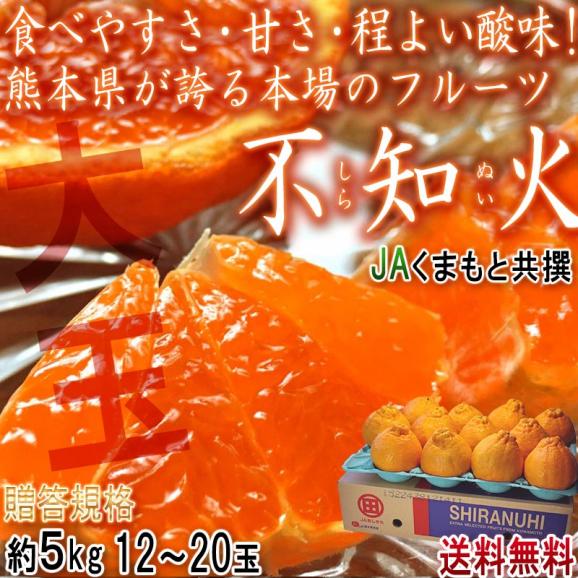 不知火 しらぬい 約5kg 12～20玉 熊本県産 贈答規格 JAくまもと 濃厚な甘さと程よい酸味の人気品種！本場で育てた抜群の味02