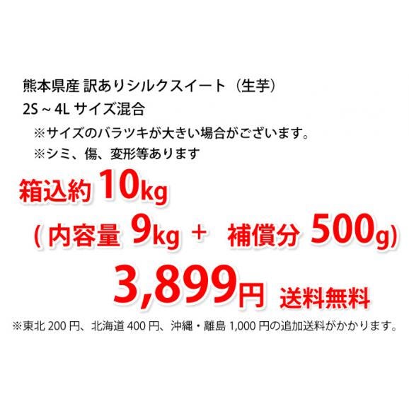シルクスイート 訳あり 10kg 箱込 内容量9kg+補償分500g 送料無料 生芋 さつまいも 熊本県産 べにはるか サツマイモ 焼き芋に 芋 いも02