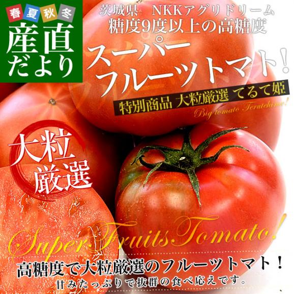 茨城県より産地直送 NKKアグリドリーム スーパーフルーツトマト 9度＋ A品 大粒厳選「てるて姫」約900g（6玉から8玉） 送料無料 高糖度トマト NKKトマト02