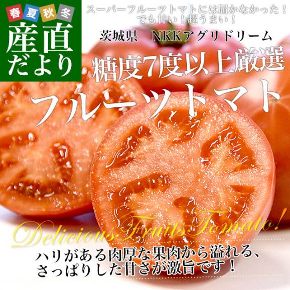 茨城県より産地直送 NKKアグリドリーム フルーツトマト 糖度7度以上 約800g(7玉から13玉) 送料無料 とまと 高糖度トマト02