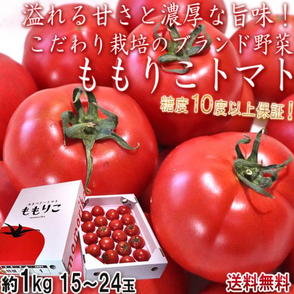 ももりこトマト S特選 約1kg 15～24玉 徳島県産 樫山農園 糖度10度以上保証のトップブランド！こだわり栽培で甘さと旨味たっぷりのフルーツトマト02
