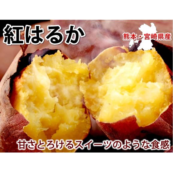 さつまいも 紅はるか 訳あり 1.5kg 送料無料 2セット購入で1セットおまけ 3セット購入で3セットおまけ お取り寄せ べにはるか 熊本・宮崎県産 サツマイモ 紅蜜芋 焼き芋 芋 いも02