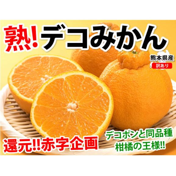 デコポン 同品種 訳ありデコみかん 5kg 箱込 (内容量4kg+補償分500g) 送料無料 熊本県産 フルーツ お取り寄せ みかん ミカン 蜜柑 不知火02