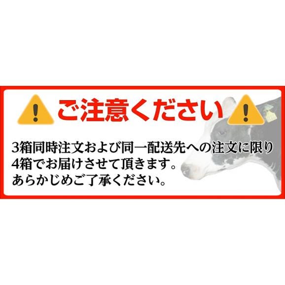 【3箱同時購入で1箱増量】デコポン 熊本県産 約1.2kg 4～6玉 送料無料 熊本デコポン03