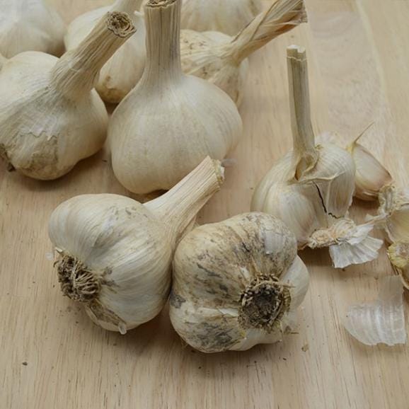 《根・土つき》山形の生にんにく約500g03