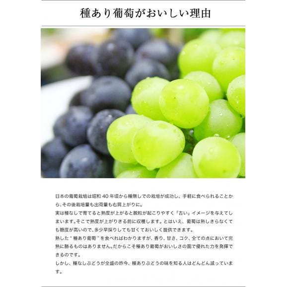 平岩農園 『種ありぶどうだけで作る6種のぶどうジュース』 180ml瓶×6本 ※常温　送料無料02