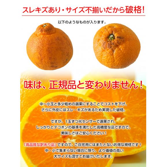 訳あり品 長崎県産　デコポン 約2kg（目安として8～12玉程度）送料無料 ≪2箱購入で1箱分増量、3箱購入で2箱分増量≫　常温03
