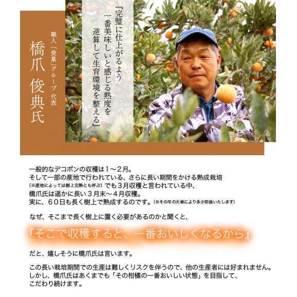 和歌山県産 長期樹上熟成 橋爪さんの『俊菓デコ』 （品種：しらぬひ） 秀品 2～3Lサイズ 6玉 約1.7kg 産地直送 ※常温 送料無料03