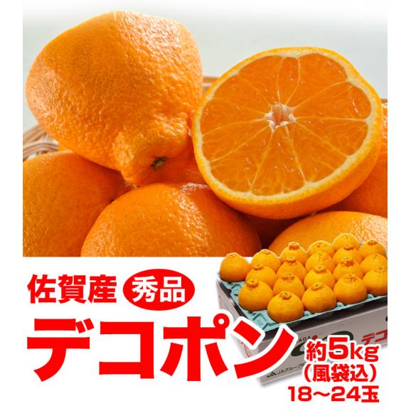 佐賀県産 デコポン 秀品 18～24玉　風袋込約５kg 送料無料03