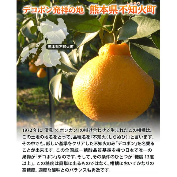 デコポン 熊本県産 優品以上 大玉 約5kg（12〜15玉）産地箱 ※常温　送料無料　熊本デコポン 柑橘03