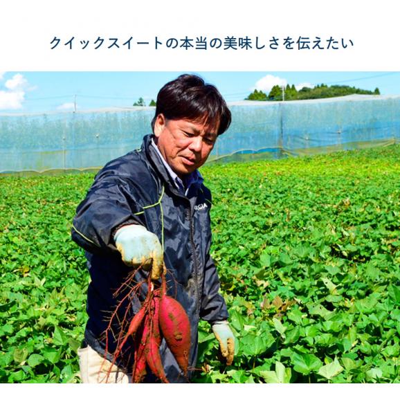 高梨さんのさつまいも『クイックスイート』千葉県産 約2kg×1箱 S～Lサイズ 簡易包装 ※常温 送料無料03