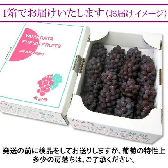 山形県産　デラウェア　約2kg　9～12房　2～3L　※冷蔵　送料無料03