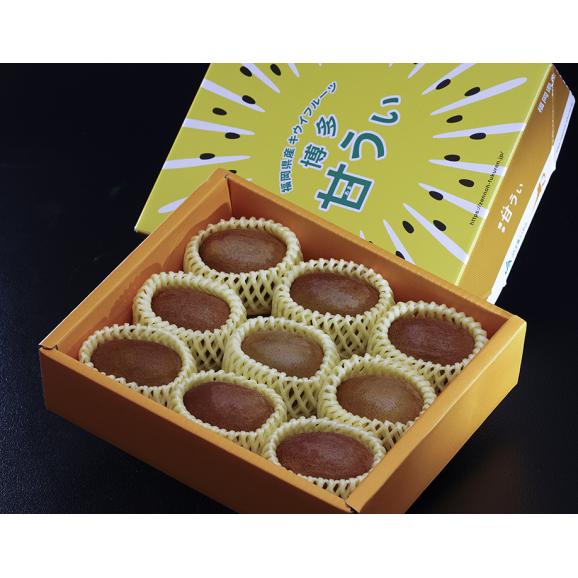 『博多甘うぃ（あまうぃ）』 福岡県産 キウイフルーツ 5L 大玉限定 約1.4kg （9玉） 化粧箱 ※常温03