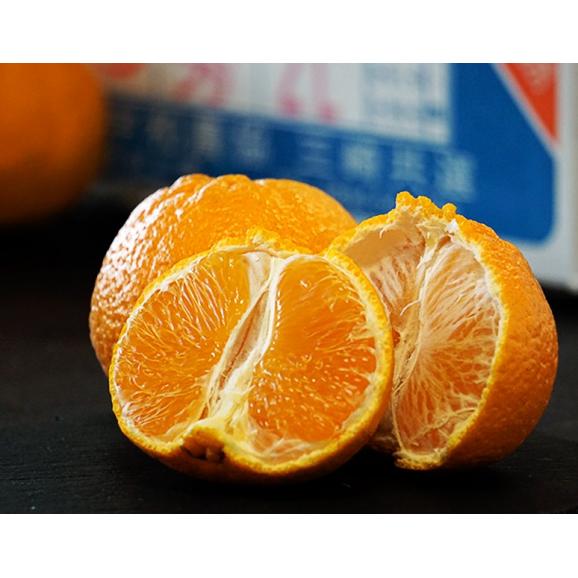 糖度13度以上 三崎 の デコポン 愛媛県産 優～秀 L～2L 風袋込 約5kg（20～24玉）産地箱 JAにしうわ ※常温 送料無料03