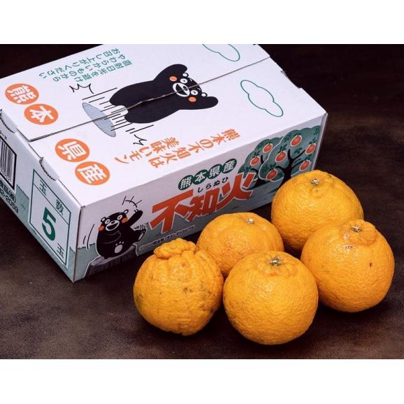 【3箱】『しらぬひ』 熊本県産　約1.5kg×3箱　合計約4.5kg（1箱：5～6玉）※常温　送料無料03
