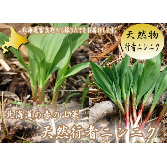 北海道富良野産　希少な天然の 行者にんにく　300g 日時指定不可03