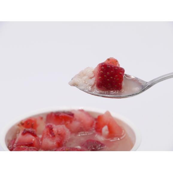 生甘酒シャーベット　Japanese Superfood"KOJI"FROZEN １セット（６個入り）03