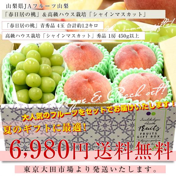 山梨県 JAフルーツ山梨 フルーツセット 春日居の桃 青秀品 4玉 (約1.2キロ) ＆高級ハウスシャインマスカット 秀品 1房 450g以上 送料無料 お中元 夏ギフト03