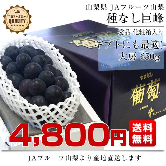 山梨県より産地直送 JAフルーツ山梨 種なし巨峰 秀品 大房1房入り化粧箱 (約650g×1房) 送料無料 葡萄 ぶどう　お中元　夏ギフト03
