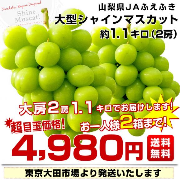 山梨県産　JAふえふき 大型シャインマスカット約1.2キロ（2房）送料無料 ぶどう ブドウ 種なしぶどう  クール便発送03