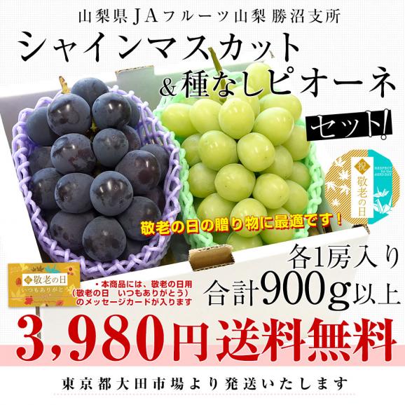 【遅れてごめんね敬老の日ギフト】山梨県産 JAフルーツ山梨 勝沼のシャインマスカット＆種なしピオーネ 各1房入り 合計900g以上 送料無料 ブドウ ぶどう 葡萄 メッセージカード付き クール便03
