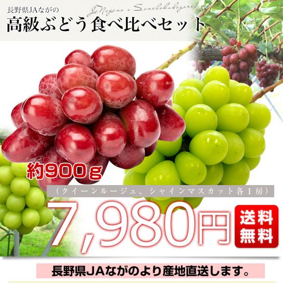 長野県より産地直送 JAながの 究極の食べ比べ！ 高級ぶどうセット約900ｇ （クイーンルージュ＆シャインマスカット各１房）送料無料 ぶどう 葡萄03