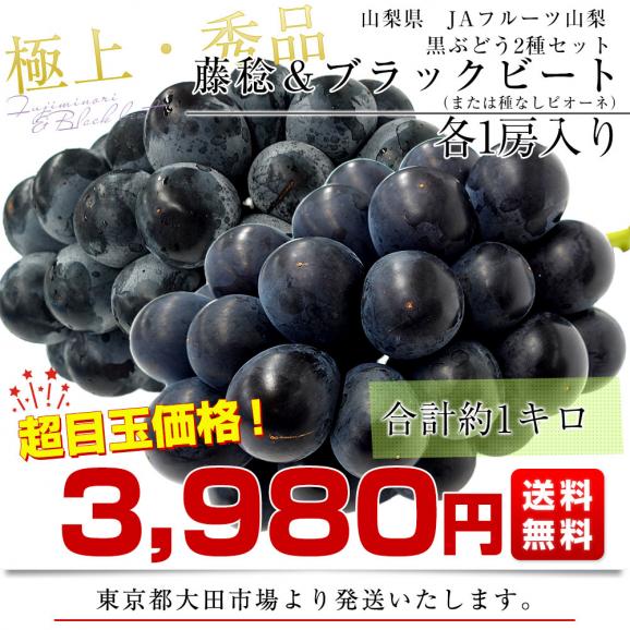 山梨県産 JAフルーツ山梨 藤稔(ふじみのり)＆ブラックビート（または種無しピオーネ） 各1房 合計約1キロ 送料無料 ぶどう 葡萄 黒ぶどう ぶどうセット03