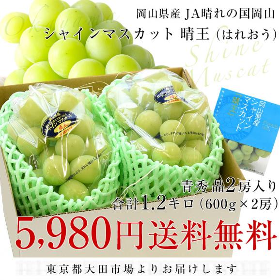 岡山県産 JA晴れの国岡山 シャインマスカット 晴王 青秀 約1.2キロ(600g×2房) 葡萄 ぶどう ブドウ 送料無料  クール便03