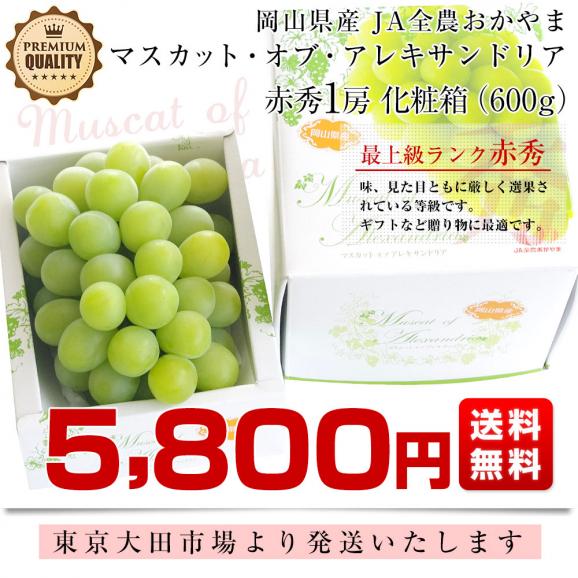 岡山県産　JA全農おかやま マスカット・オブ・アレキサンドリア 赤秀 大房 1房化粧箱（600g）葡萄 ぶどう あれき クール便発送 お中元 ギフト03
