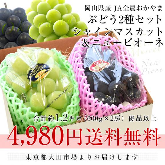 岡山県産　JA全農おかやま シャインマスカット＆ニューピオーネセット 優品以上 大房 合計 約1.2キロ (2房）ぶどう ※クール便03
