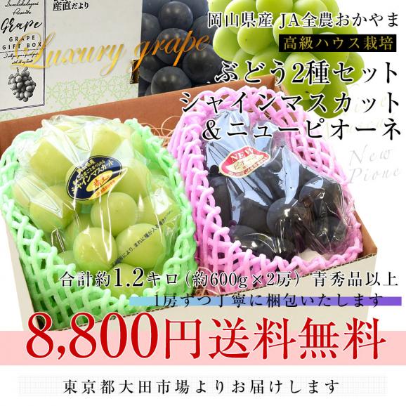 岡山県産　JA全農おかやま 高級ハウス栽培 シャインマスカット＆ニューピオーネセット 青秀品以上 大房 合計約1.2キロ (600g前後×2房)　送料無料 ブドウ 葡萄 フルーツギフト ※クール便03