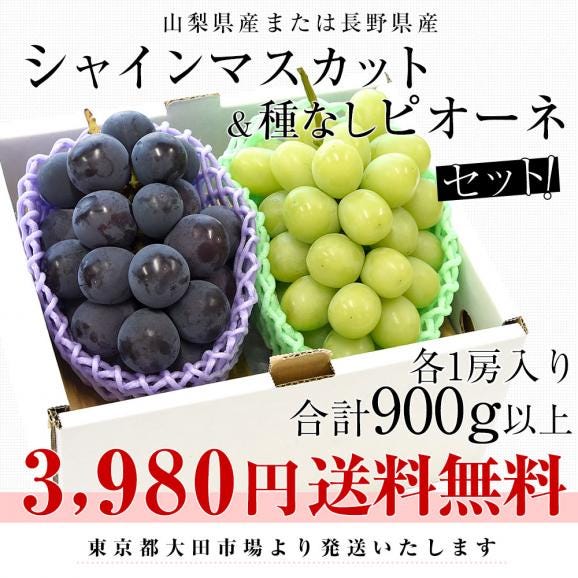 山梨県または長野県産シャインマスカット＆種なしピオーネ 各1房入り 合計900g以上 送料無料 ブドウ ぶどう 葡萄 クール便03
