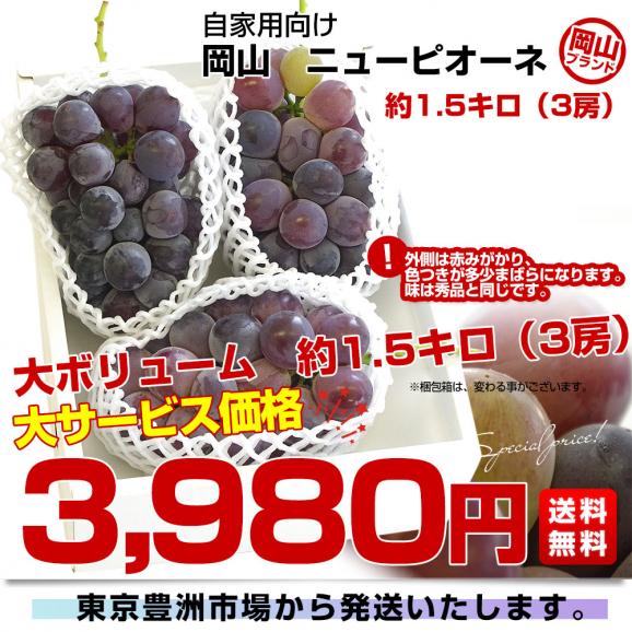岡山県産　自家用ニューピオーネ　約1.5キロ（3房）送料無料 ぶどう 種なし黒ぶどう03
