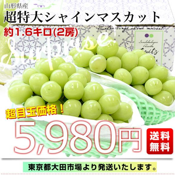 山形県産 超特大シャインマスカット 約1.6キロ(2房) 送料無料 ぶどう 葡萄 ブドウ マスカット 白ぶどう03